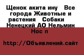 Щенок акита ину - Все города Животные и растения » Собаки   . Ненецкий АО,Нельмин Нос п.